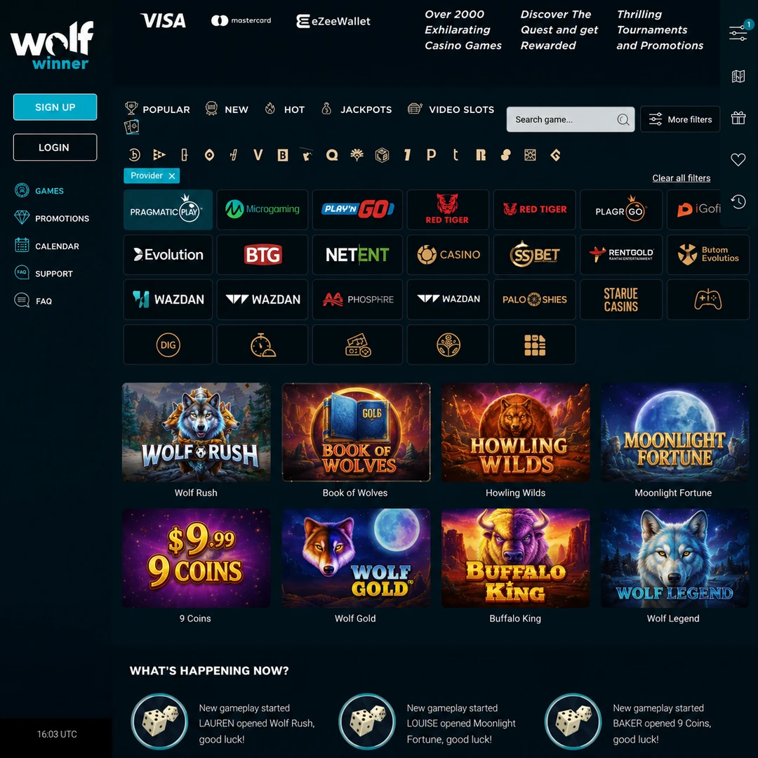 Wolf Winner pokies lobby with the provider filter open.